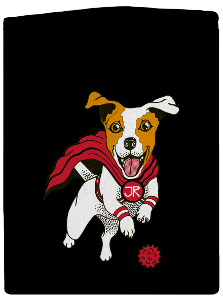 Jack Russell dámská mikina na zip Black