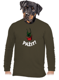 pánské dlouhý rukáv