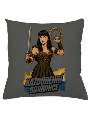 B19: Xena polštář Gray Pol