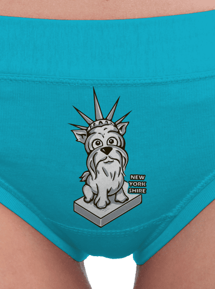 New Yorkshire dámské kalhotky Turquoise