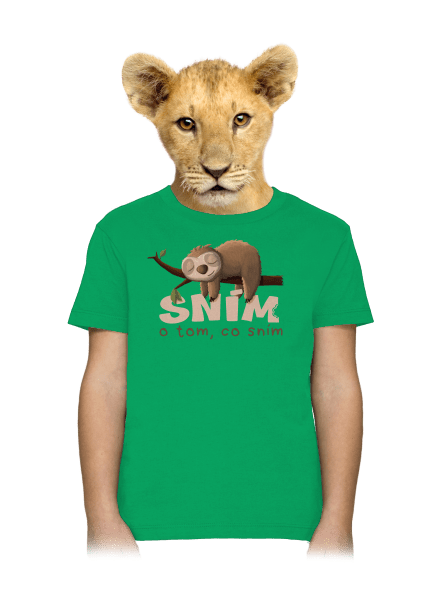 Sním o tom, co sním dětské tričko Kelly Green