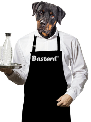 zástěra