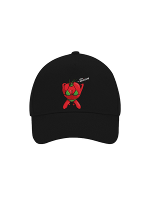 kšiltovka baseballka