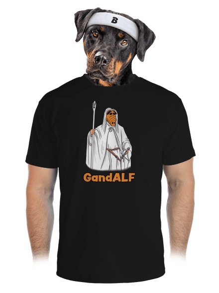 GandALF pánské sportovní tričko Black