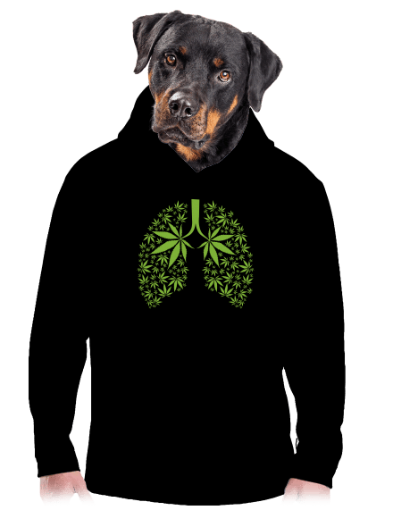 Ganja plíce pánská mikina klokanka Black