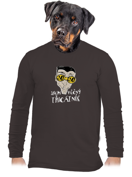 Věčný třicátník pánské dlouhý rukáv Bear Brown