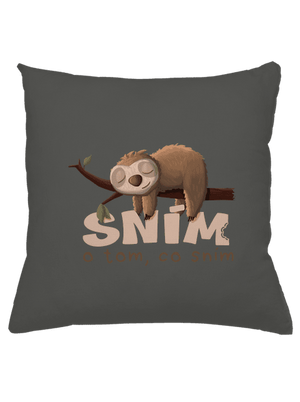 Sním o tom, co sním polštář Gray Pol