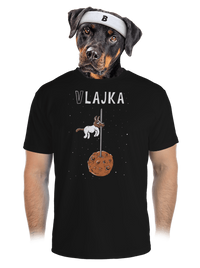 pánské sportovní tričko