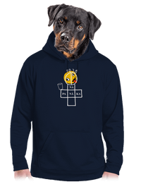 pánská mikina klokanka