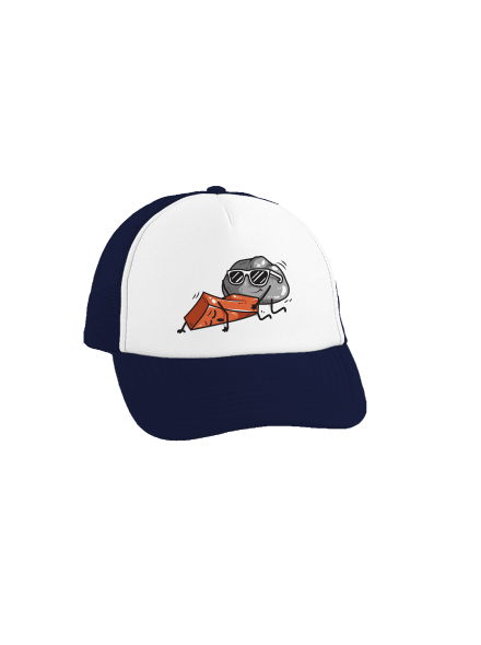 Kámen š**á cihlu kšiltovka truckerka French Navy cap