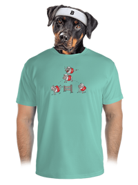 pánské sportovní tričko