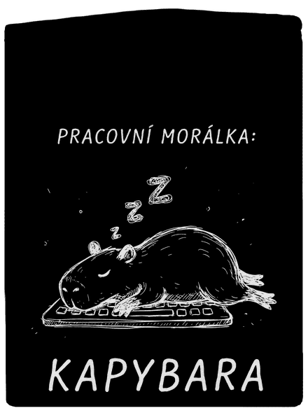 Pracovní morálka pánská mikina na zip Black