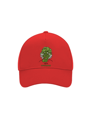 kšiltovka baseballka