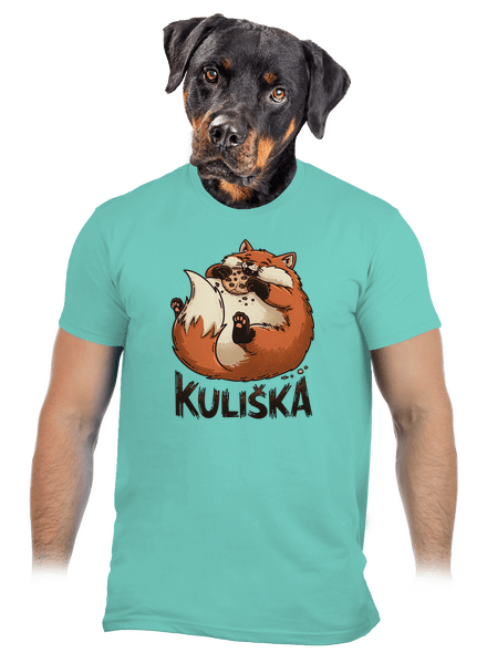 Kuliška pánské tričko Millenial Mint