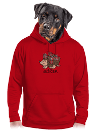 pánská mikina klokanka