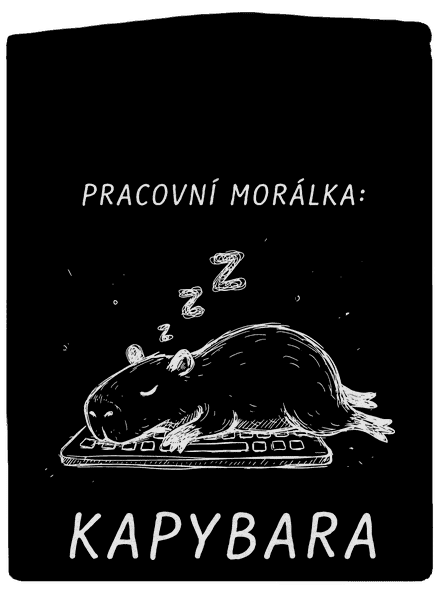 Pracovní morálka dámská mikina na zip Black