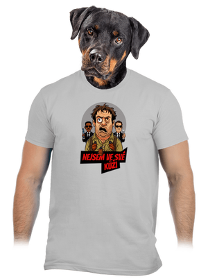 Nejsem ve své kůži  pánské tričko Pacific Grey