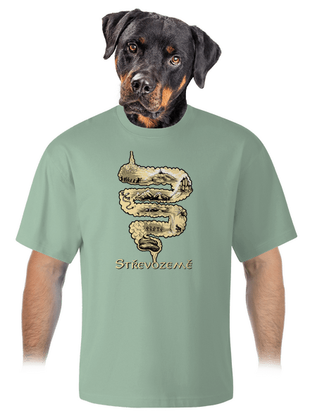 Střevozemě unisex tričko oversized Sage