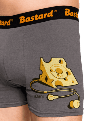 iDam boxerky Gray Melange
