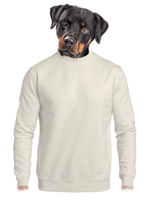 Bez potisku unisex mikina bez kapuce Off White