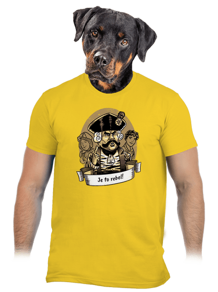 B14: S čerty nejsou žerty pánské tričko Gold