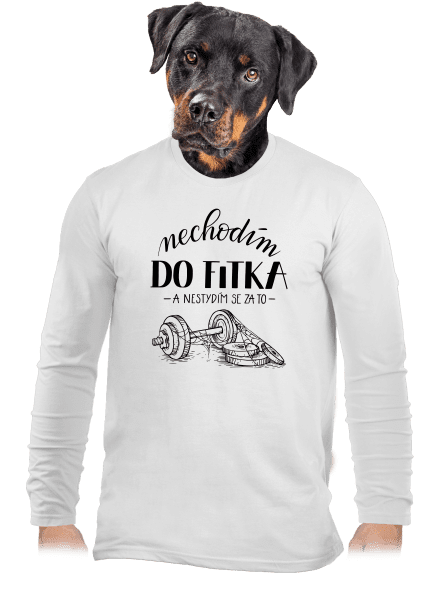 B12: Nechodim do fitka pánské dlouhý rukáv White