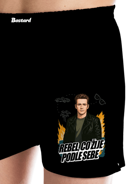 B19: Dylan z Beverly Hills pánské trenky Black