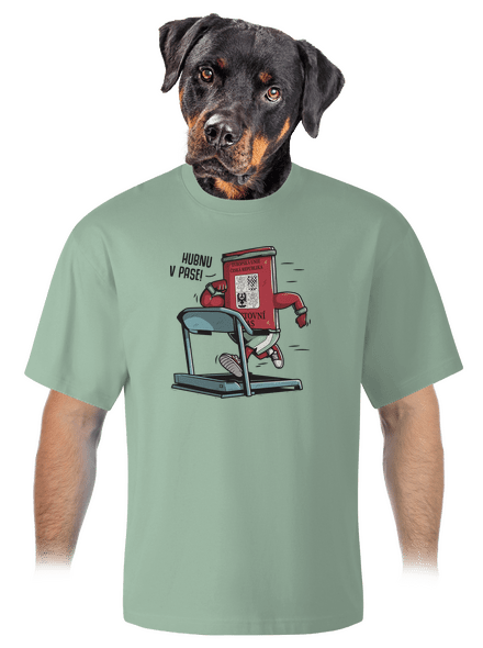 Hubnu v pase unisex tričko oversized Sage