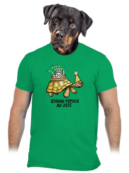Stárnu pomalu pánské tričko Kelly Green