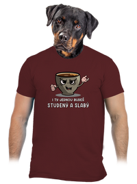 pánské tričko