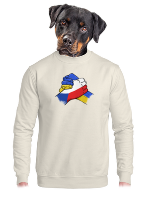 Ukrajina - Podpora unisex mikina bez kapuce Off White