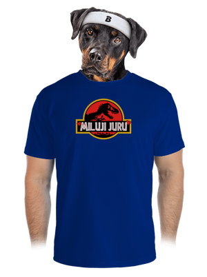 pánské sportovní tričko