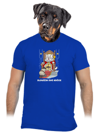 pánské tričko