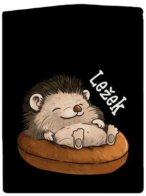 Ležek pánská mikina na zip Black