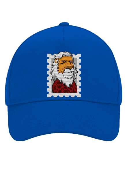 Můj prezident kšiltovka baseballka Bright Royal