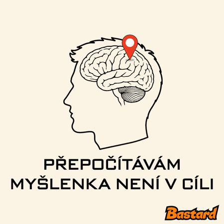 Přepočítávám