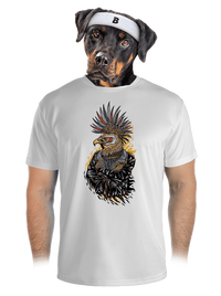 pánské sportovní tričko