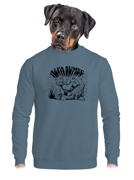 Alfasumec unisex mikina bez kapuce Nordic Blue