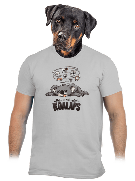 Koalaps pánské tričko Pacific Grey