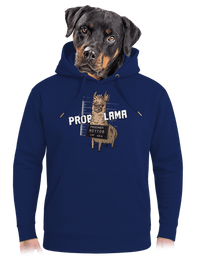 unisex mikina premium