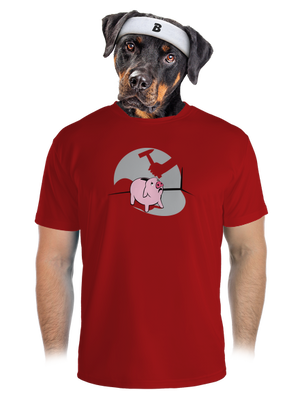 pánské sportovní tričko