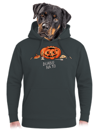 unisex mikina premium