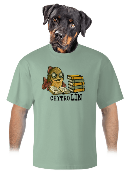 Chytrolín unisex tričko oversized Sage