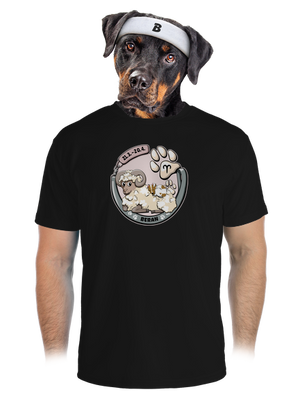 pánské sportovní tričko