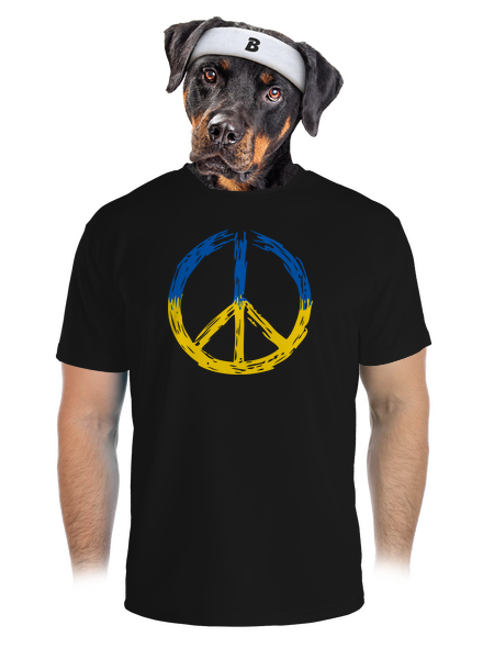 Ukrajina - Peace pánské sportovní tričko Black