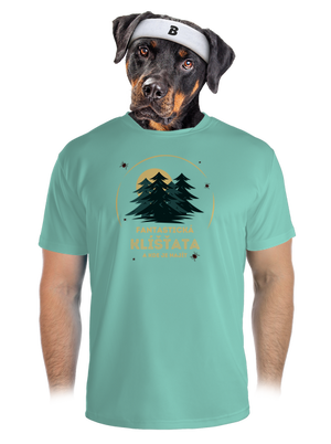 pánské sportovní tričko