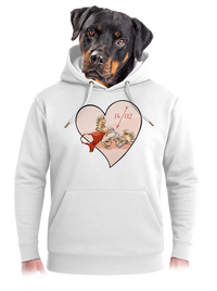 unisex mikina premium