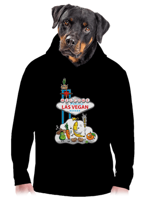 pánská mikina klokanka