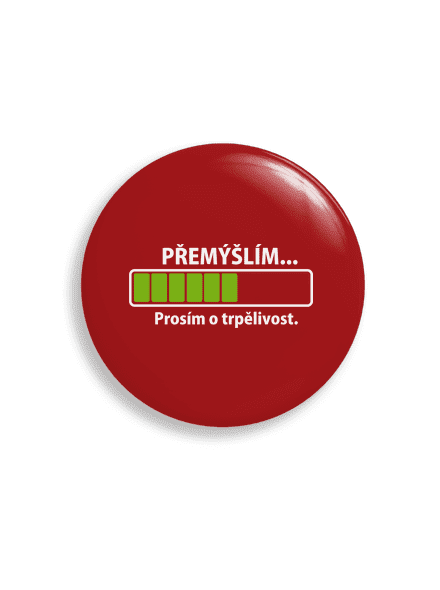 Přemýšlím placka uni