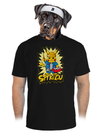 pánské sportovní tričko
